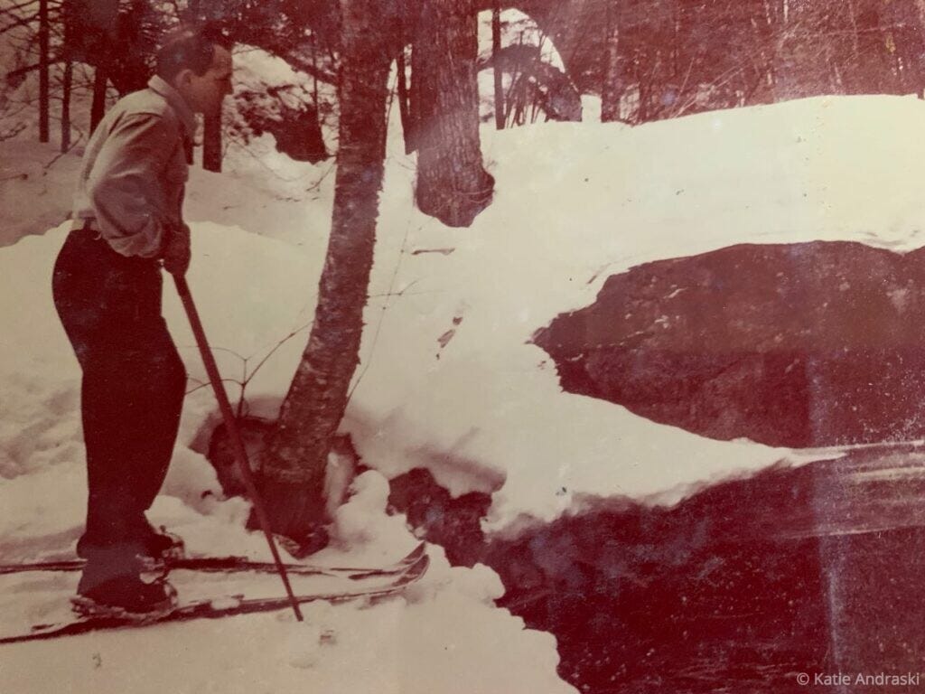 A person shoveling snow near trees in a snowy landscape.