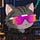 X avatar for @MagicEden