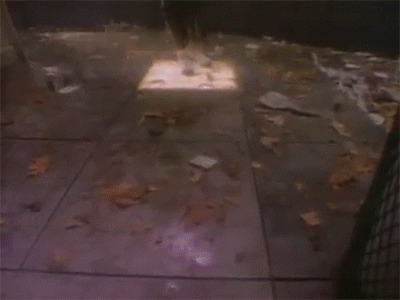 Billie Jean GIF - Find & Share on GIPHY Billie Jean GIF - Find & Share on GIPHY