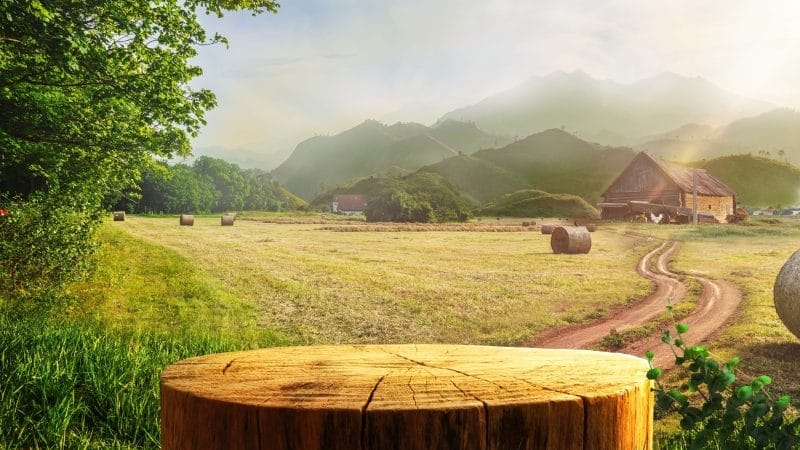 We&rsquo;re Losing the Human Touch in Food