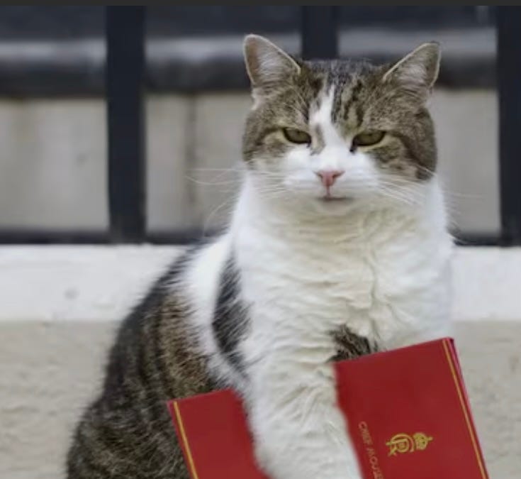 larrythecatno10.substack.com