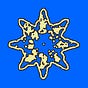 Protocolized's avatar