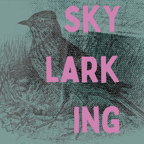 Skylarking with Jade E. Bradford