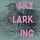 Skylarking with Jade E. Bradford
