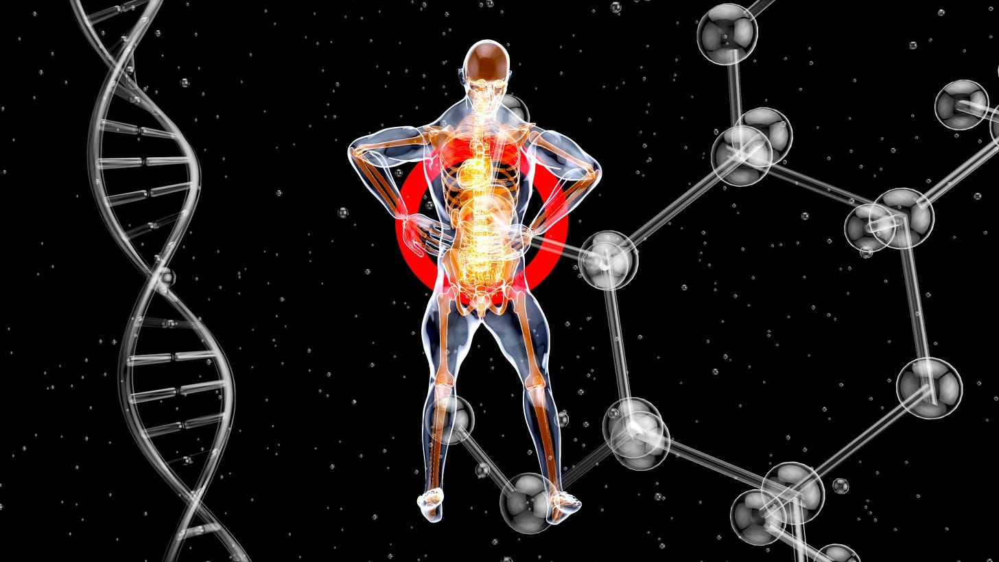 A DNA chain, a transparent human body showing organs, some molecules. Organ transplants and genetic testing A DNA chain, a transparent human body showing organs, some molecules. Organ transplants and genetic testing