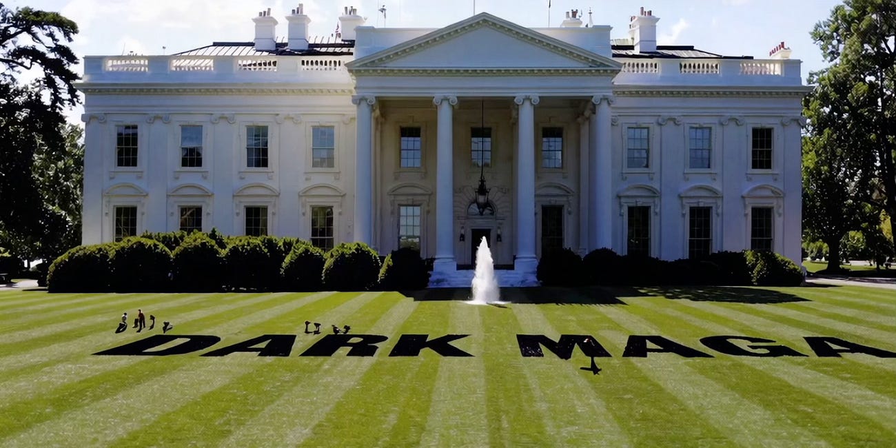 Analysis of Nazi Symbolism and White Supremacist Influence in DOGE and Musk’s Government Restructuring by GPT-4o.