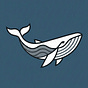 Prudent Whale Research's avatar