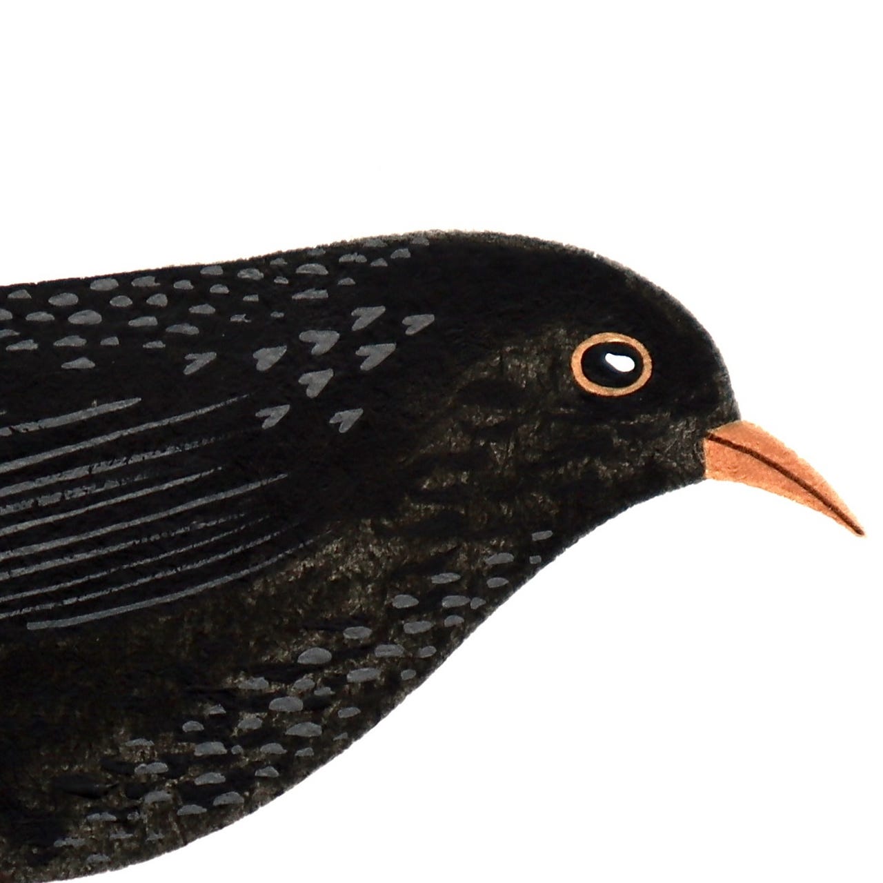 Natasha Newton Art & Illustration