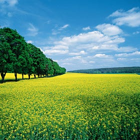 On Spring