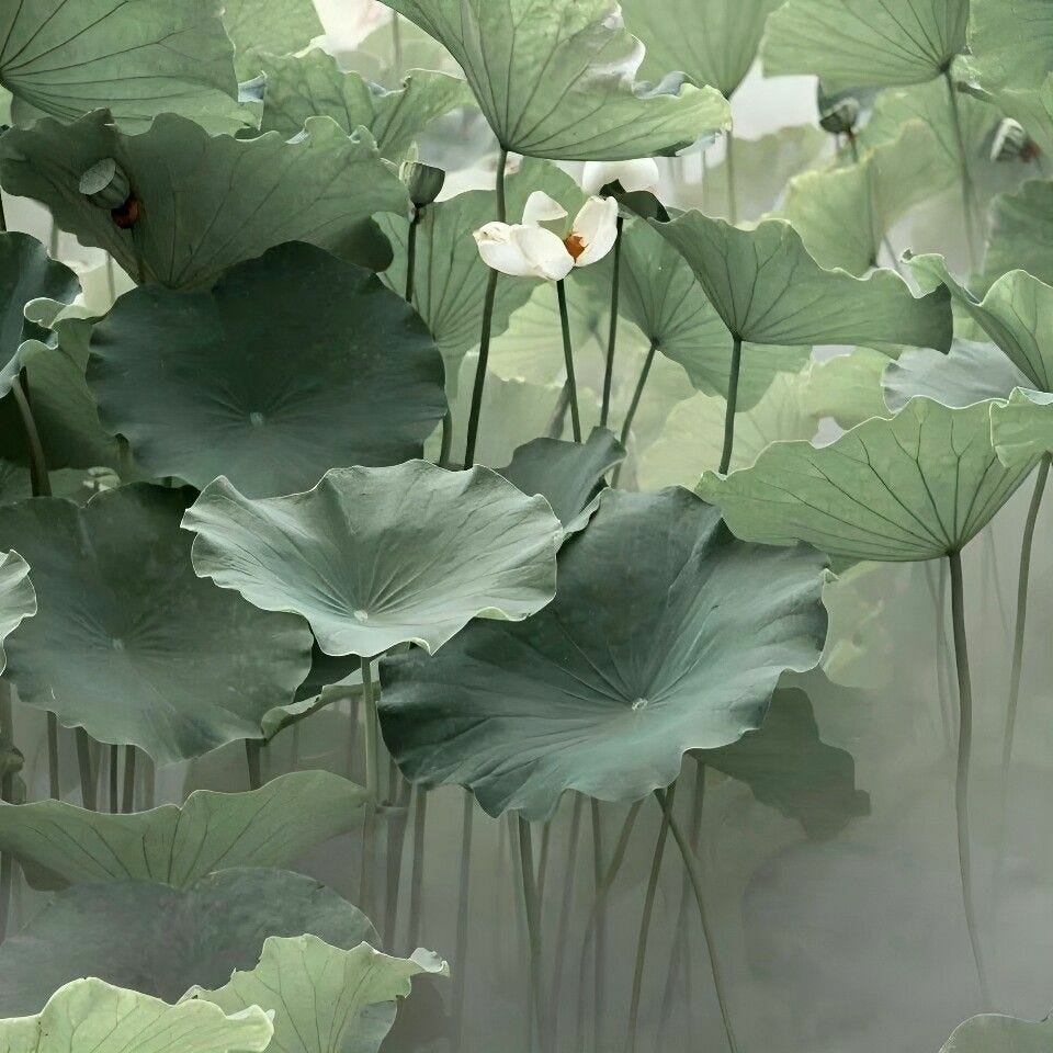 Inside the Mind of a Teenage Girl