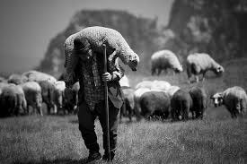 Loving and leading weak sheep - Church Replanting