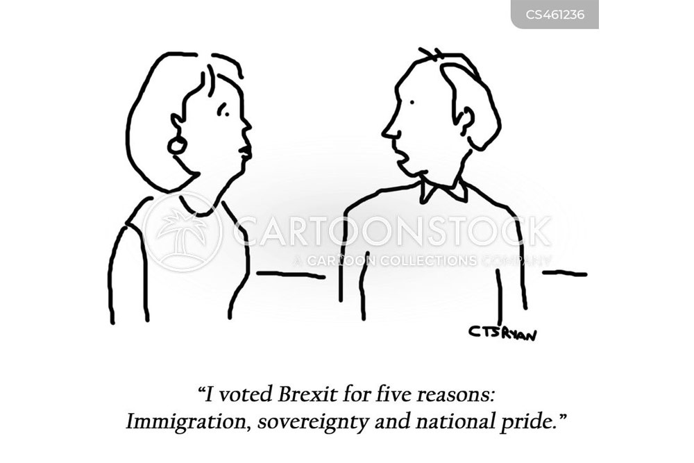 Why voters vote cartoon