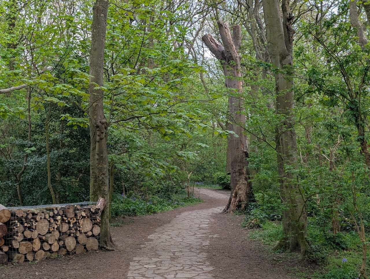 Witch Wood, Lytham