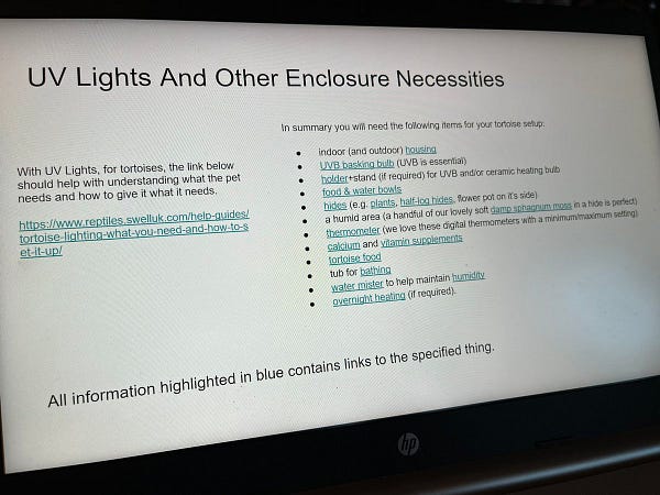 Tortoise PowerPoint presentation on HP laptop.