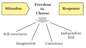 The First Habit of Effective People: Be Proactive - Matouš Havlena