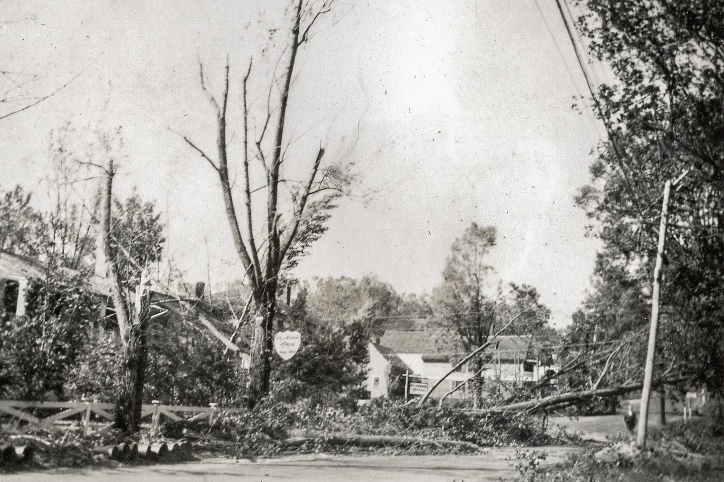 Hurricane damage on Turnpike Road