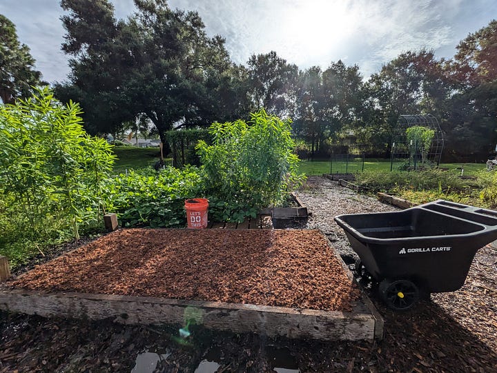 A series of four images showing the process of mixing soil amendments into a garden bed’s native soil. The first image shows the garden bed with amendments on top, the second shows the soil spread evenly, the third is a close-up of the amended soil in a bucket, and the fourth highlights fertilizer mixed into the top layer of soil.