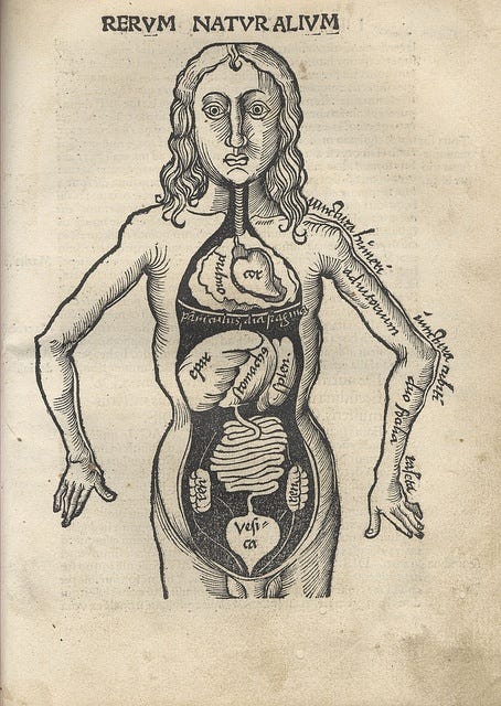 an old drawing of a woman with her stomach in the shape of a human body