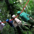 Flesh and Blood (Kosmos Journal)