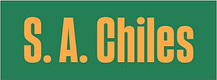 essaychiles