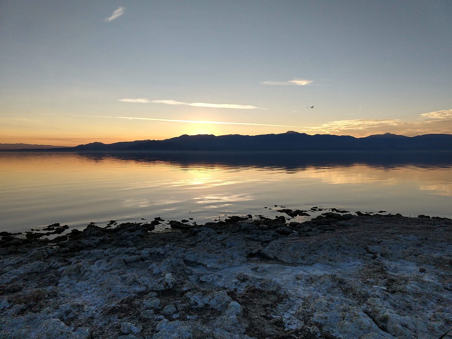 the sun has just passed over the horizon of the Salton sea and a single bird flies over the strange shell beach. 