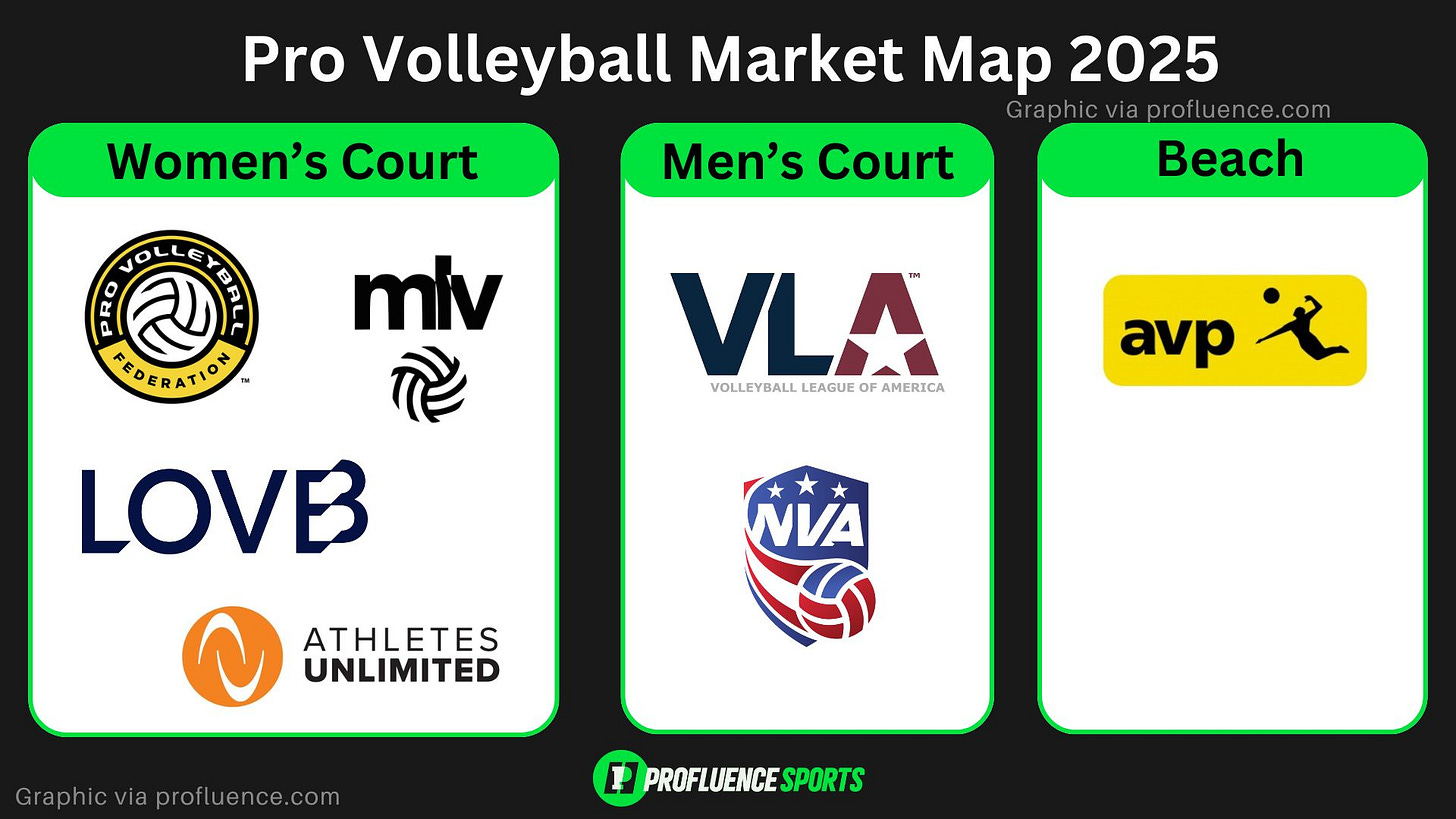 pro volleyball market map
