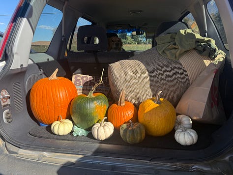 two pictures with a trunk full of different pumpkins, seventeen total. Another picture of a piano-altar, with Andrea's photos, autumnal garland, and pumpkins.