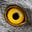 Eye's avatar