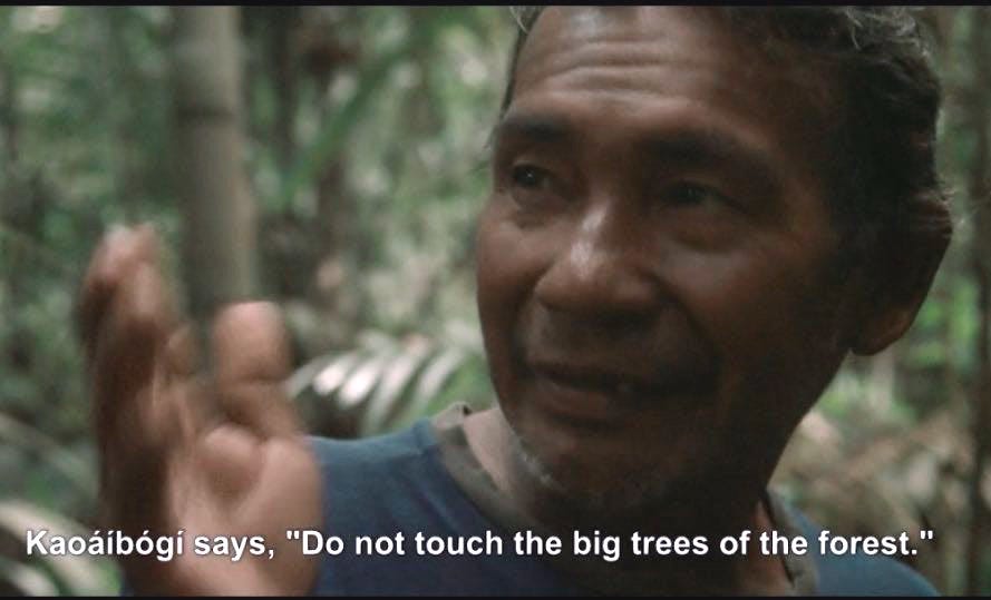 A person waving his hand

AI-generated content may be incorrect.