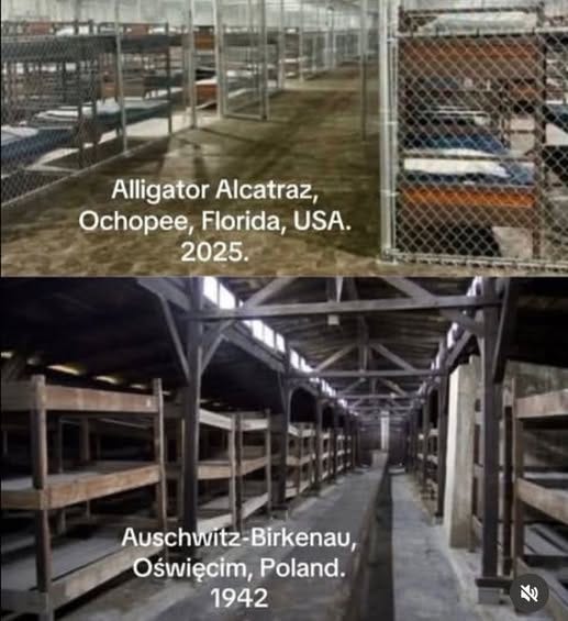 May be an image of crocodile and text that says 'Alligator AlligatorAlcatraz, Alcatraz, Ochopee, Florida, USA. 2025. Auschwitz Auschwitz-Birkenau, Birkenau, Oświęcim, Poland. 1942'