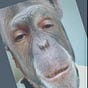 Kev's avatar