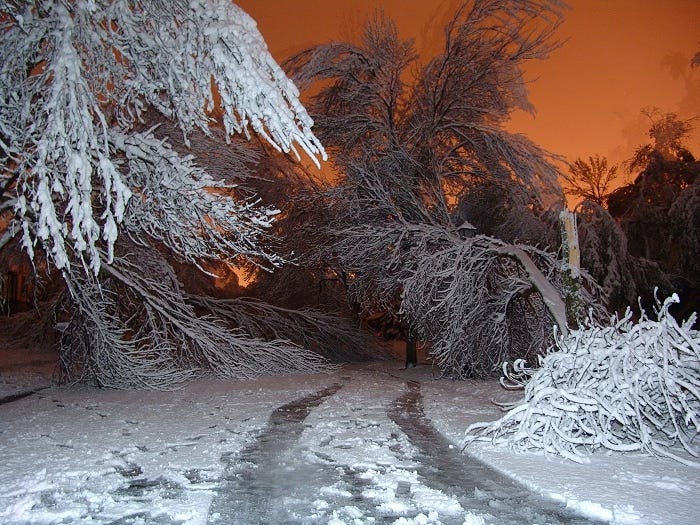 Snow covered trees with broken branches, night time sky, during October Surprise, Buffalo, NY