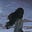 Soft Hearted's avatar