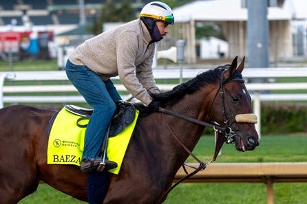 Baeza - Horse Profile - BloodHorse
