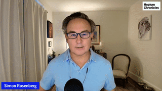 Simon Rosenberg Robert Shapiro.mp4