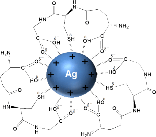 Silver nanoparticle molecule Colloidal Silver molecule