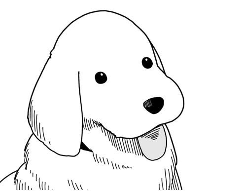 Substack profile picture for @dogg