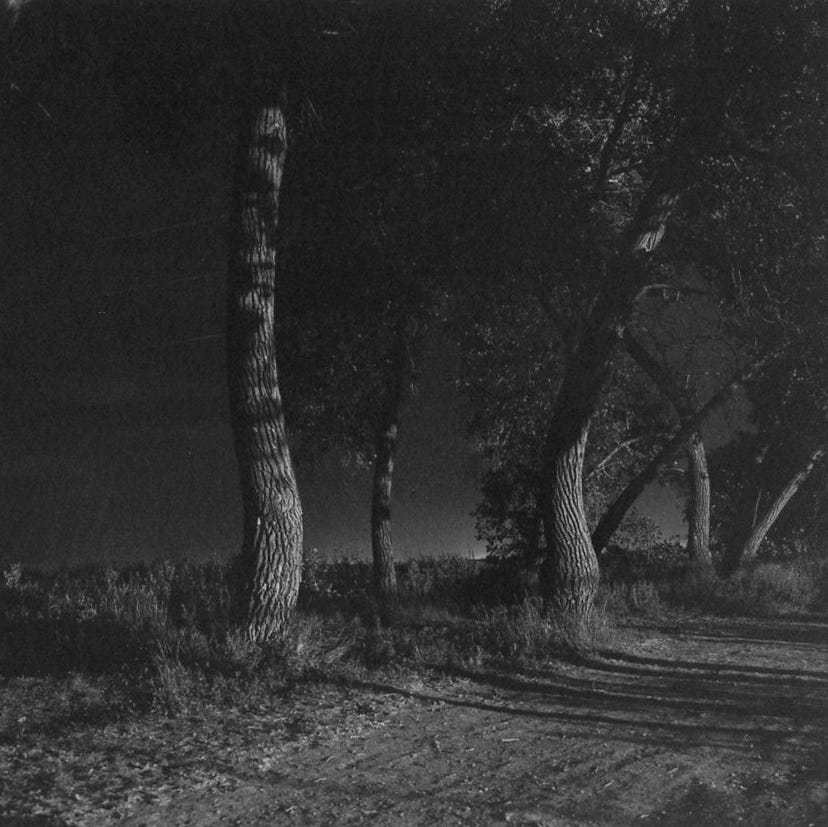 Something Between Want and Desire: Robert Adams, "Summer Nights, Walking:  On the Colorado Front"