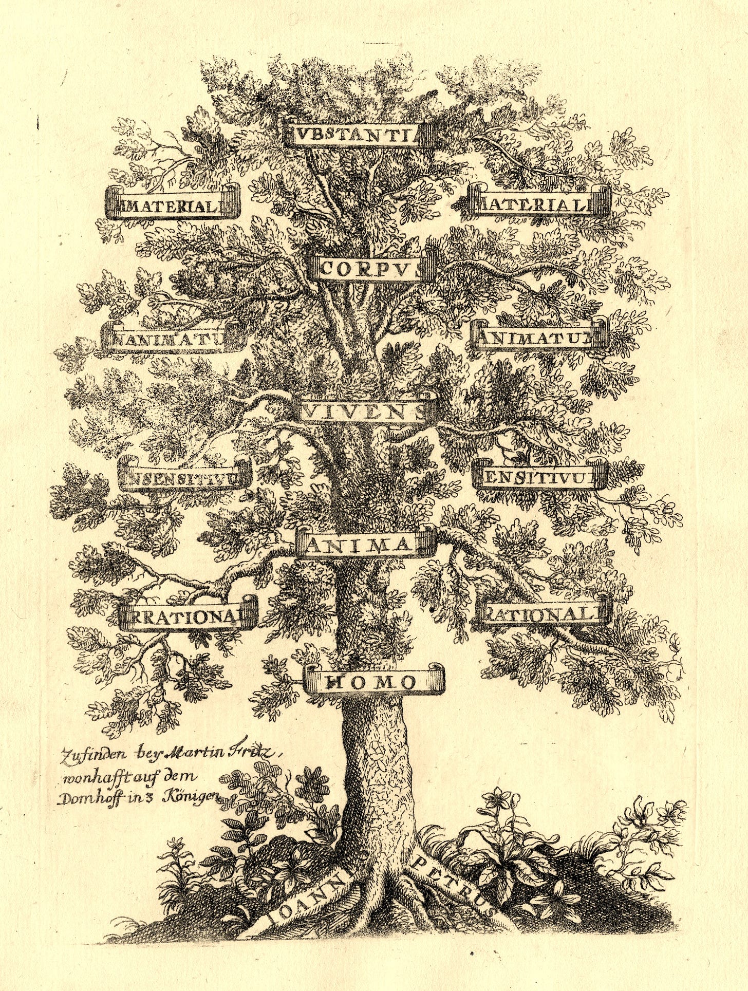 Antique Print - PORPHYRIAN TREE-LOGIC-DIAGRAM-MARTIN FRITZ - c.1680 ·  Pictura Antique Prints