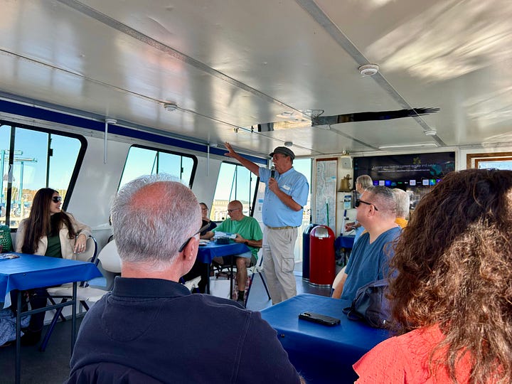 boat, cruise, passengers, crew, water, sky