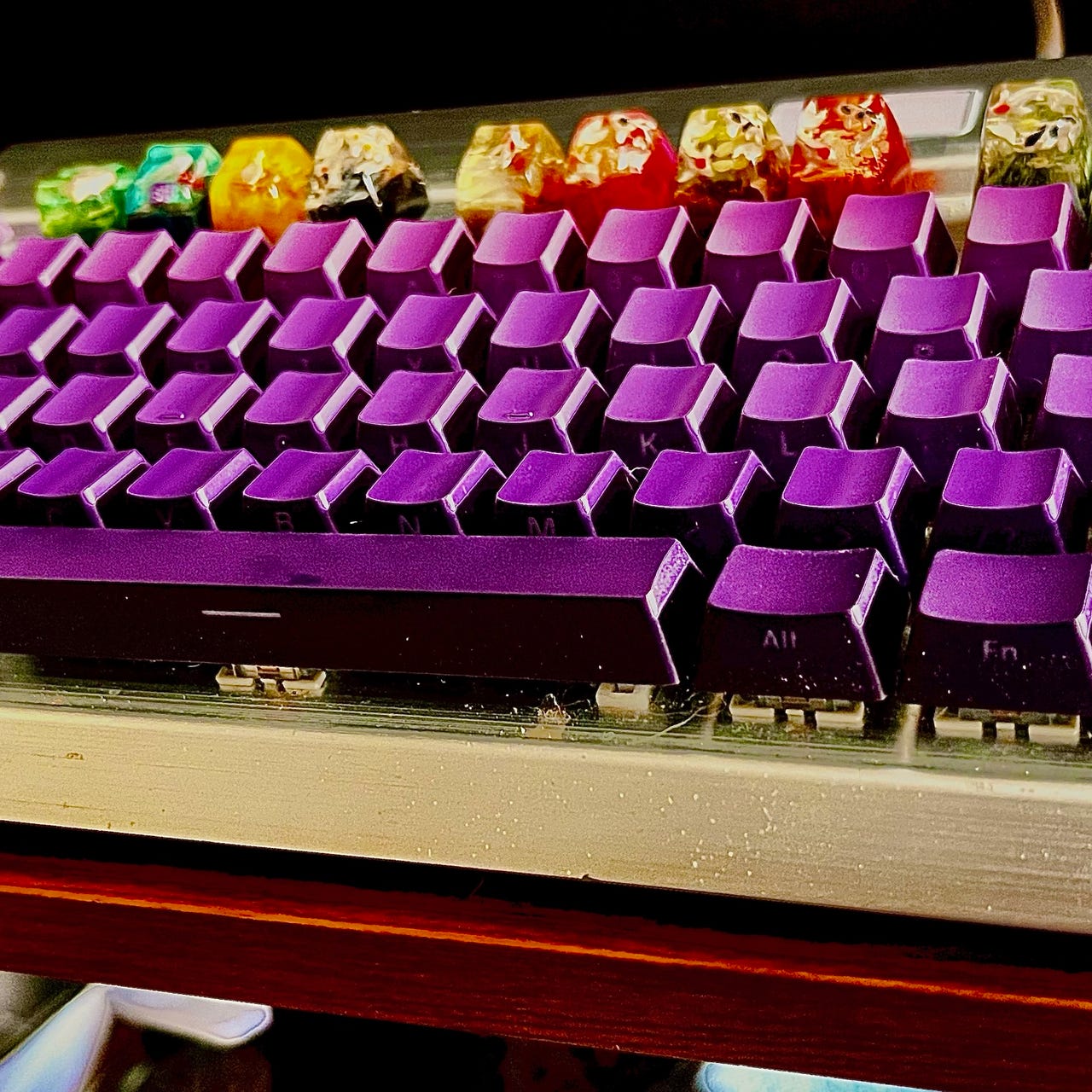 Where The Reeds Bend