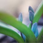 Embracing Beginner's Mind