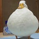 Quacker Capital
