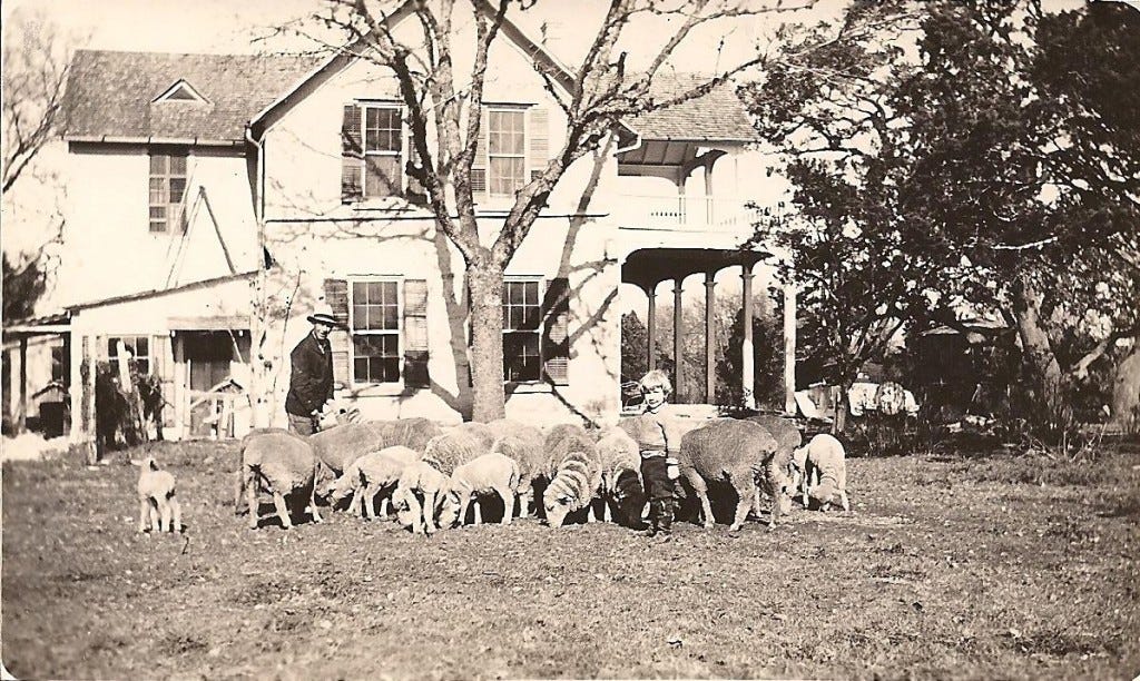 A group of people standing next to a flock of sheep

AI-generated content may be incorrect.