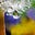 Thyme's avatar
