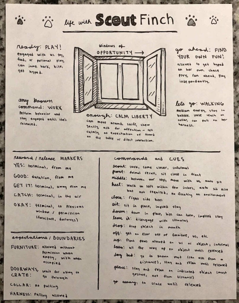 A one sheeter outlining our windows of opportunity, reward markers, boundaries, and commands for life with our dog
