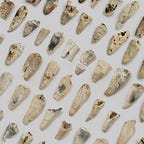 Anthropology.net