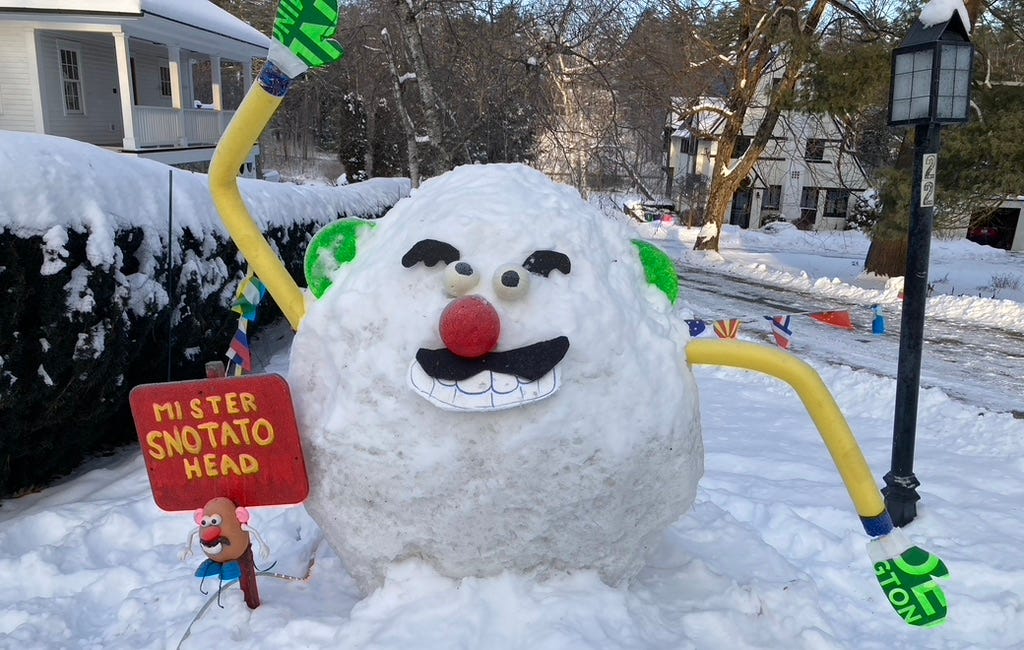 MR Sno-tato head is looking for some company please!