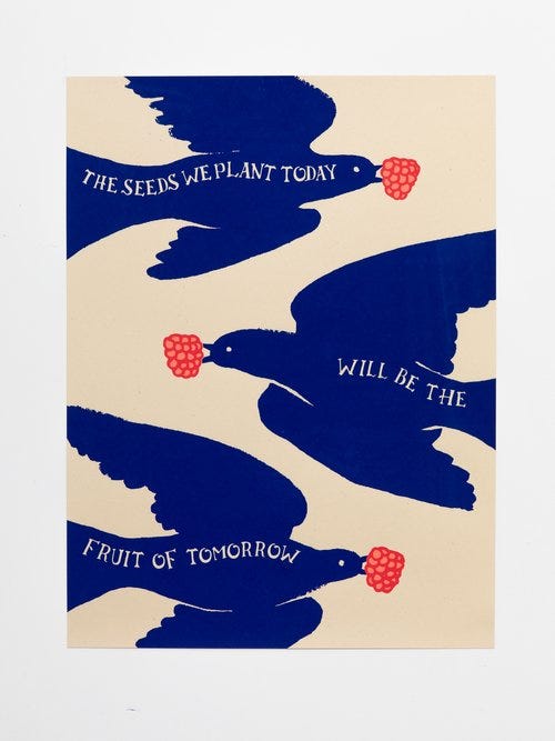 The Seeds We Plant Today Will Be The Fruit of Tomorrow The Seeds We Plant Today Will Be The Fruit of Tomorrow
