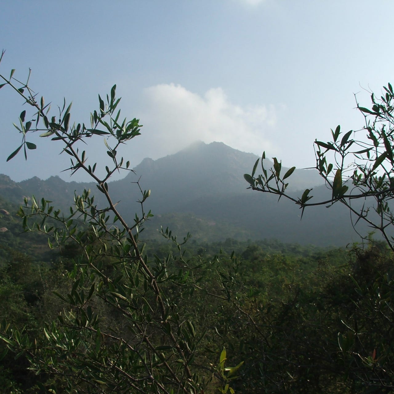 Practical Spirituality with Philip Goldberg